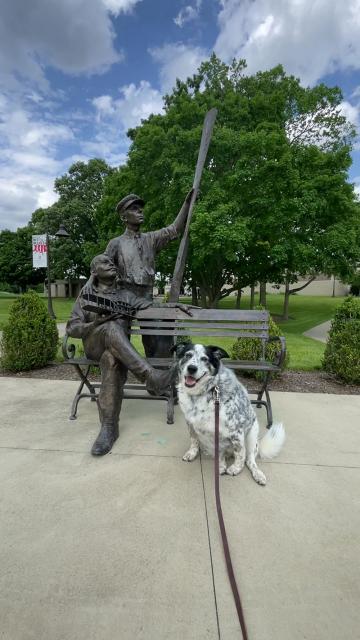 A dogs sits appearing to smile in front of a bronze statue of The Wright Brothers. 