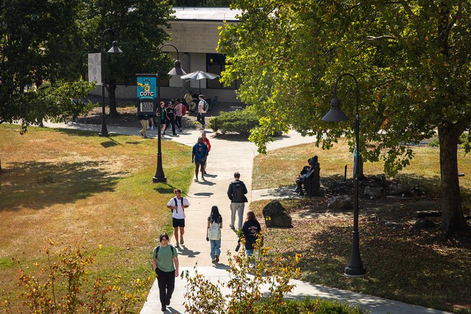 Students walk on the sidewalk lined with trees on the right and grass on the left on the Newark campus on a sunny, fall day.