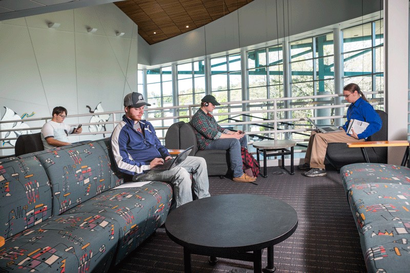 People studying at the library